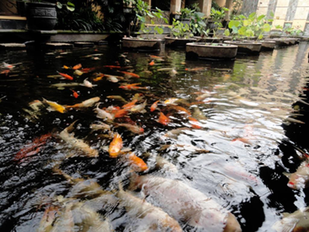 Lotus Garden Hotel Kediri  Exterior foto